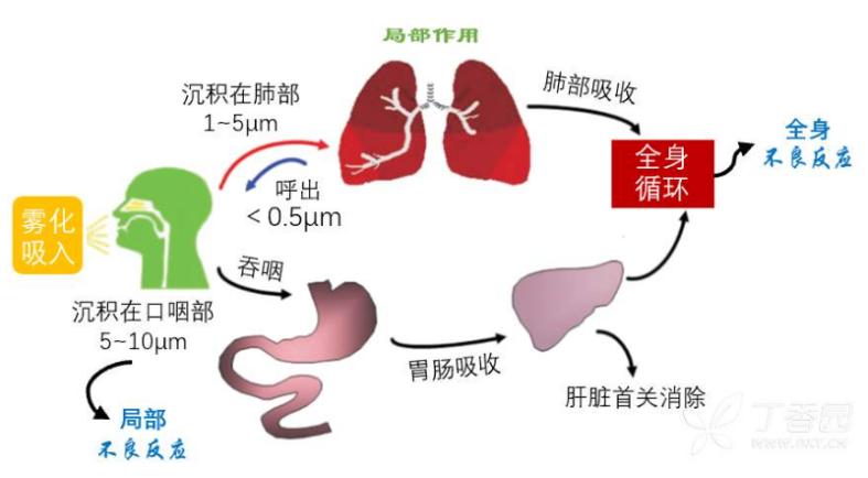 雾化器用什么消毒郑医感控自习室-第十六期丨雾化吸入的感染防控_https://www.jmylbn.com_新闻资讯_第1张