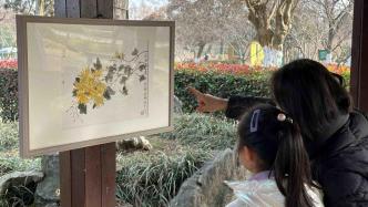 江苏苏州：“十二花神”绘画作品展迎新年