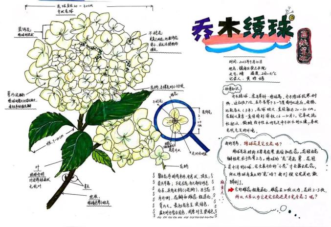 寧波這些孩子的