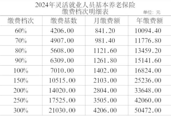 养老保险明细表模板图片