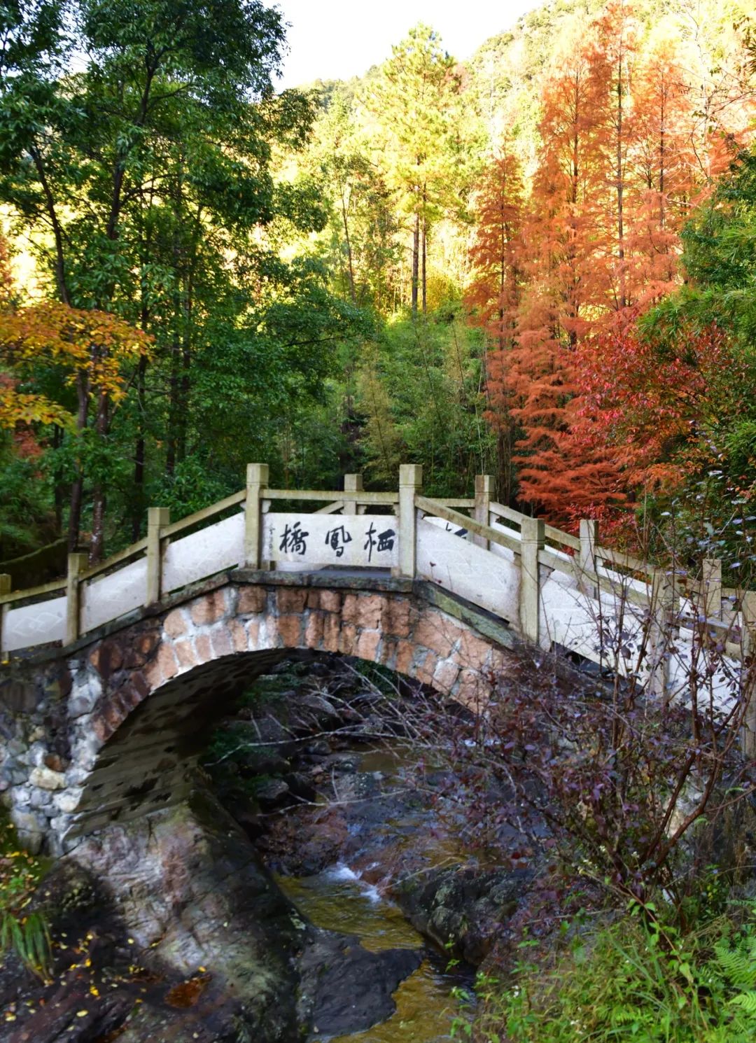 【民族村24节气图】小寒:寒极迎春到,物华互焕新_澎湃号·政务_澎湃新闻-The Paper