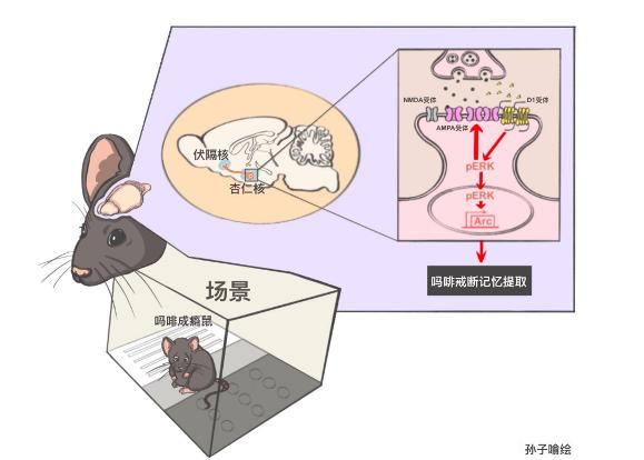 科研速遞_澎湃號