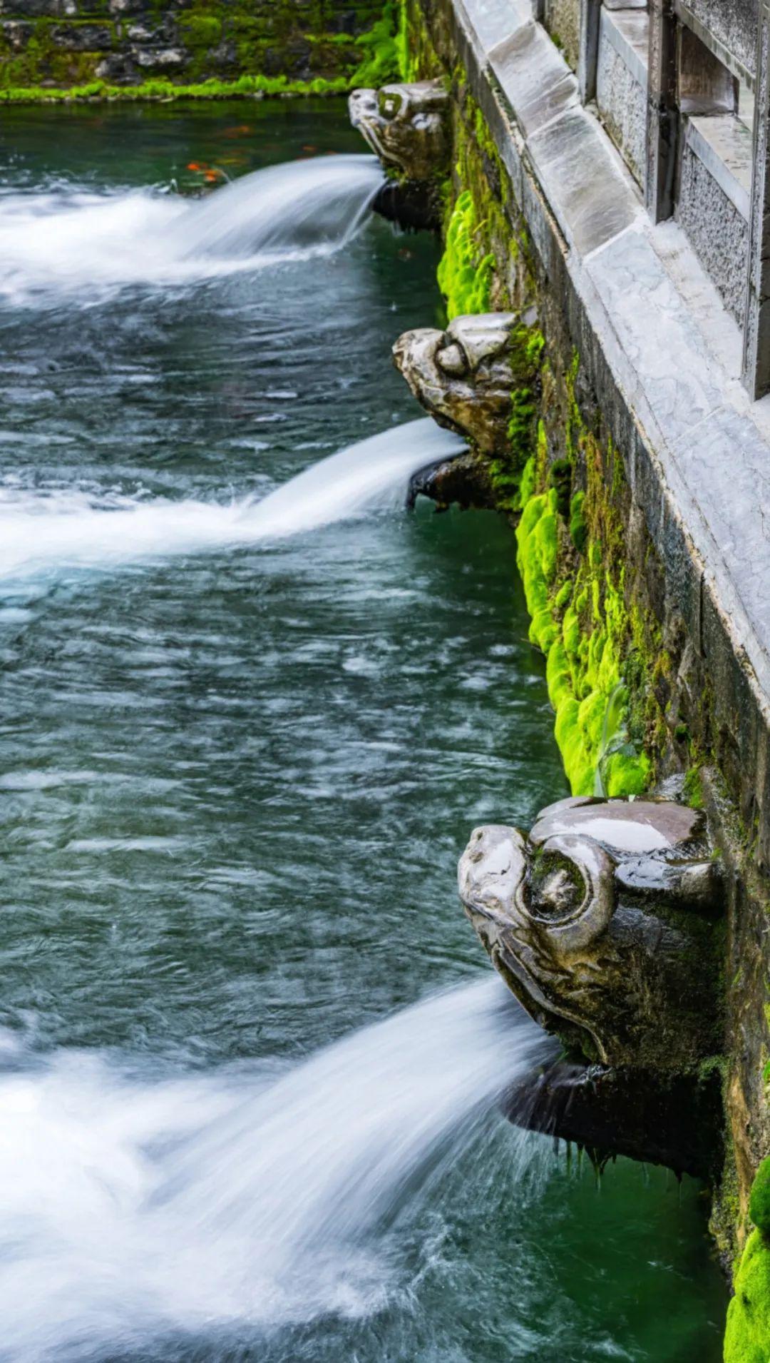 地脉之中流淌着汩汩清泉,"趵突腾空","黑虎啸月","墨泉如沸"