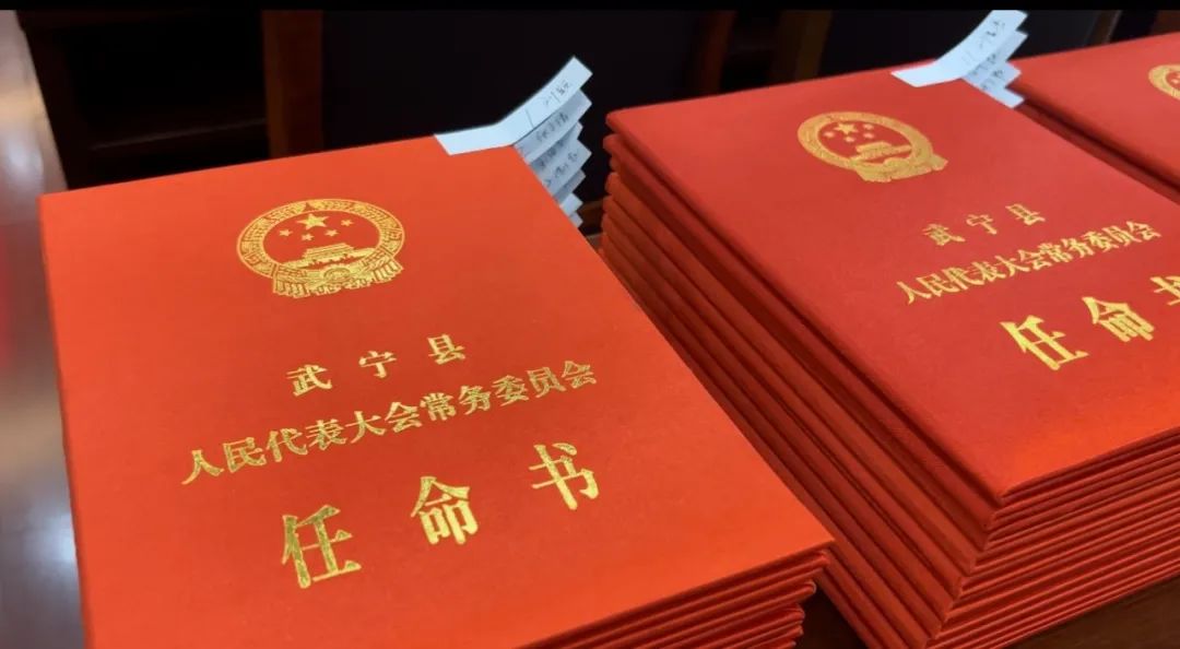 武宁法院举行人民陪审员任命书颁发宣誓仪式