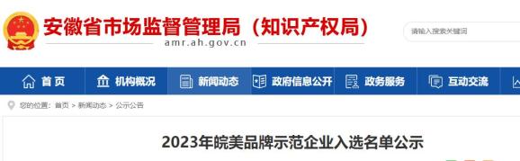 2023年皖美品牌示範企業入選名單序號企業名稱1蔚來控股有限公司2合肥