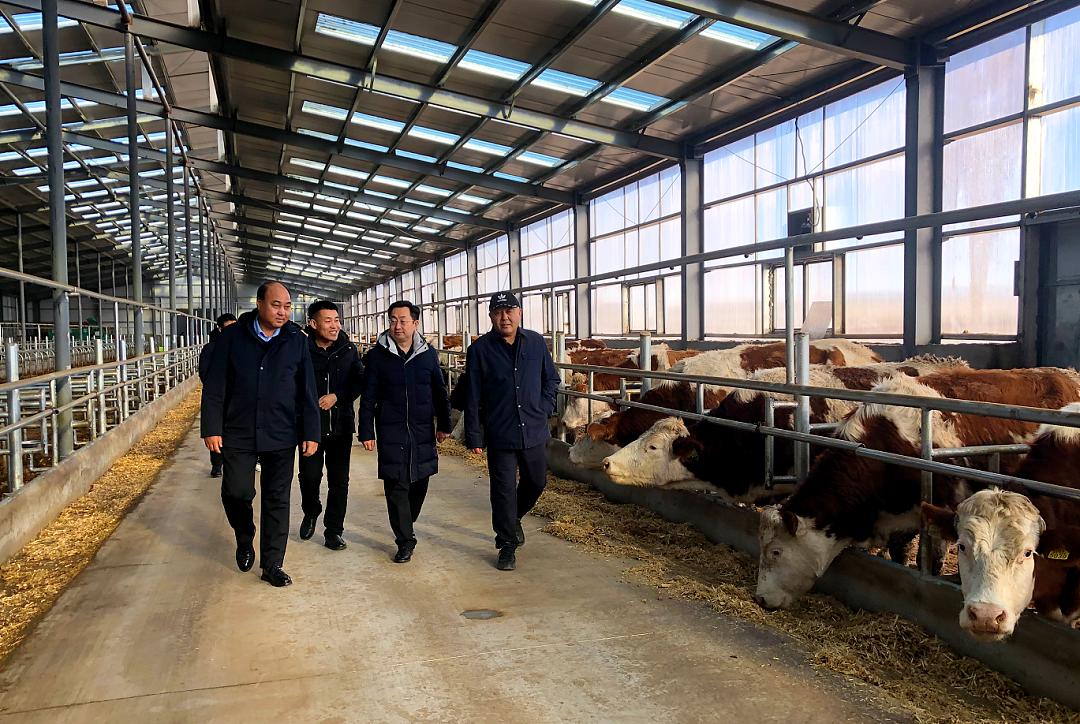 于凌浩到乌力吉木仁苏木调研指导工作_澎湃号·政务_澎湃新闻-the