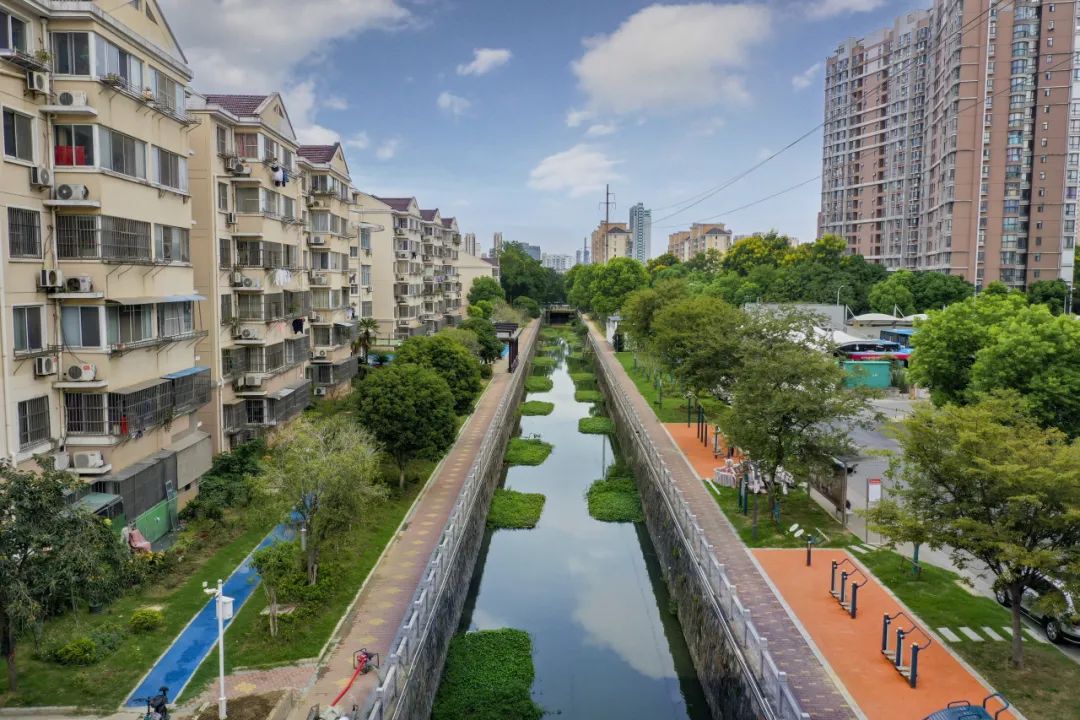 如今的陸典橋浜儼然成為了附近小區居民家門口的一條景觀河流,