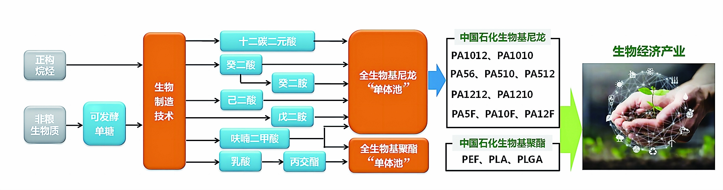 鏈技術 大連院 供圖北化院:實現異山梨醇綠色化和規模化製備□潘亞男