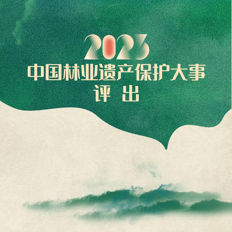 專家們和公眾代表們一起對2023年我國林業遺產保護領域的重要事件進行