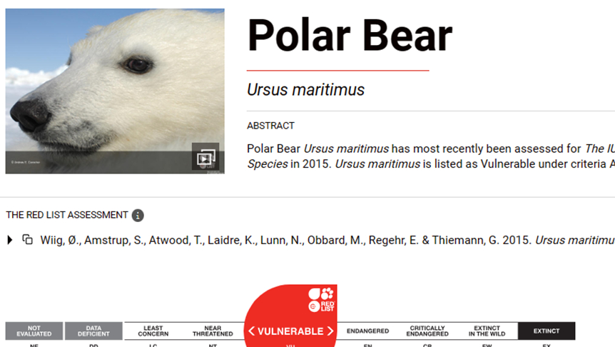 北极熊死于禽流感，美国阿拉斯加州首例