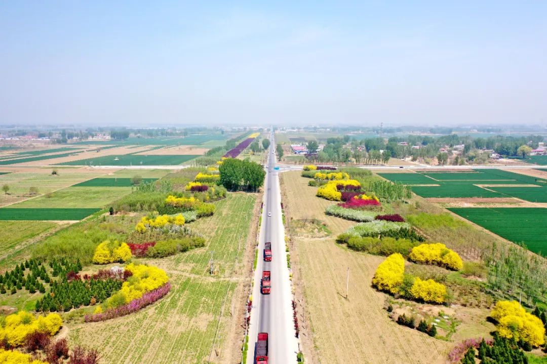 打造了农业种植基地,门窗制造产业基地,已形成双辛葡萄园,"沙土宝"