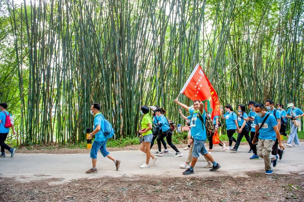 圖源 廣寧發佈此外,古水河沿岸還增加了竹筏遊,農家樂,沙灘露營,觀光