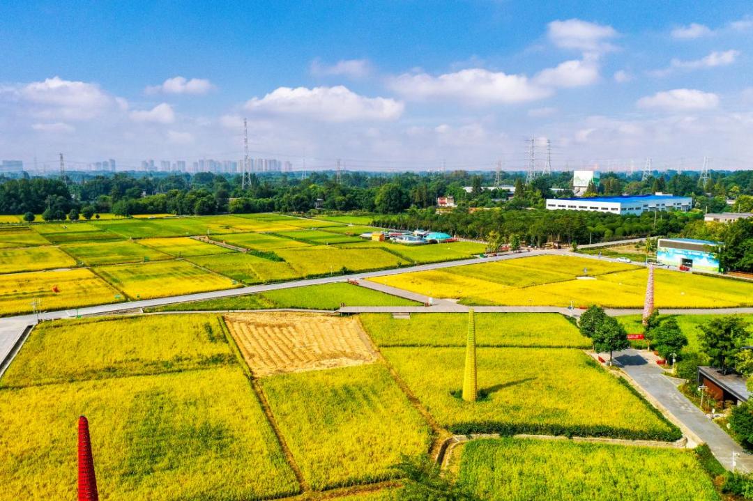 創建三道堰,戰旗村,東林村等10個a級景區記者從區農業農村局獲悉,接