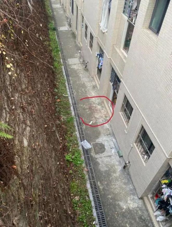 邹某某在宿舍坠楼原标题:《"大一女生校内坠亡",警方通报》