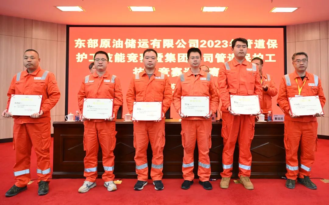 多种豪华车型可供选择