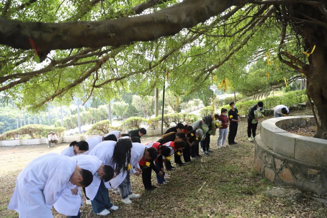 在深圳市吉田墓園,有三棵鬱鬱蔥蔥的百年古榕,古榕下樹立著一塊黑色