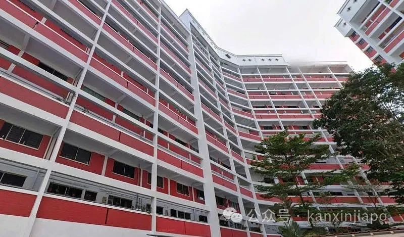 136万新币，新加坡武吉知马稀有双层公寓创该区组屋转售价新高