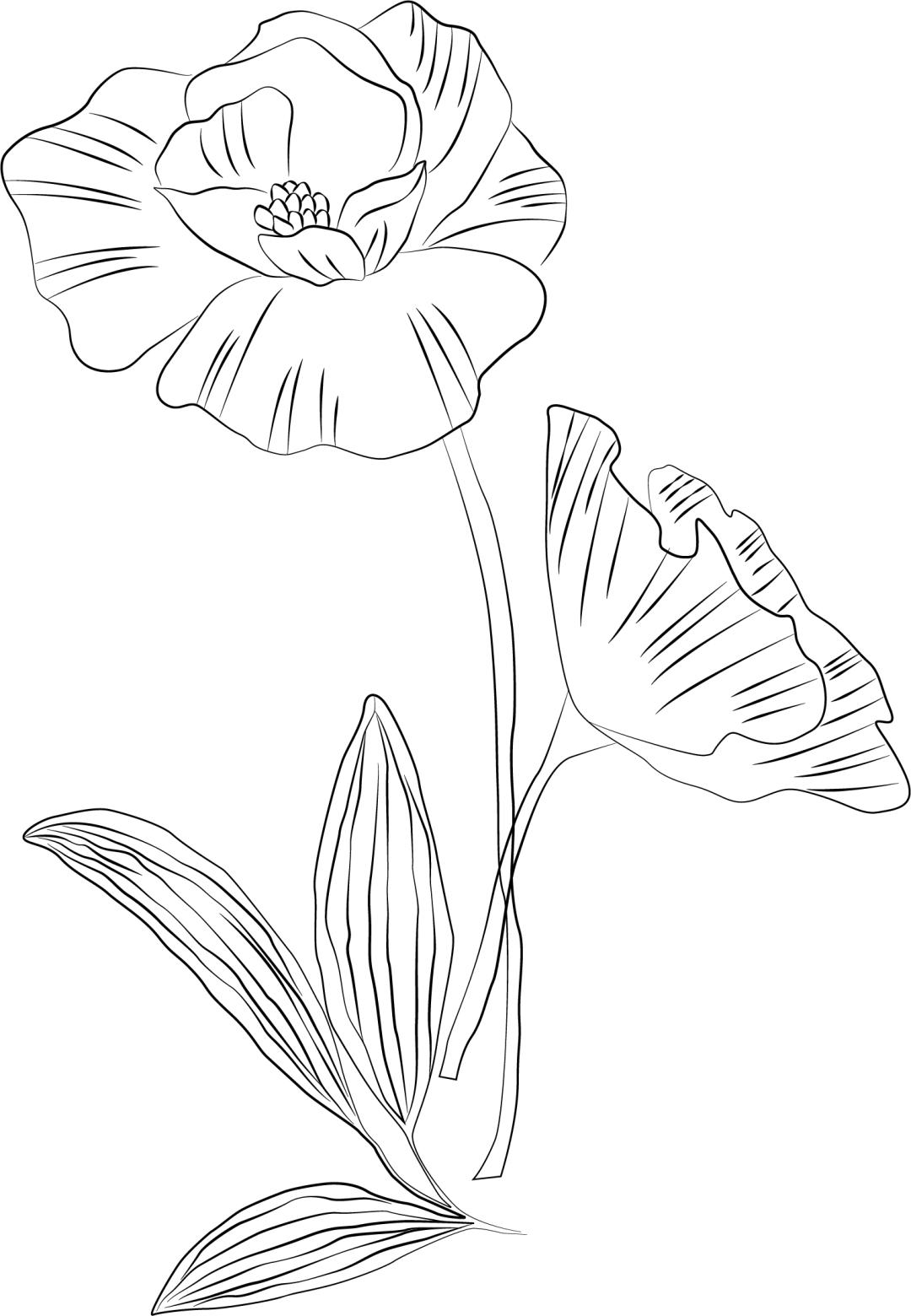 "红帮精神"一直在!_澎湃号·政务_澎湃新闻-the paper