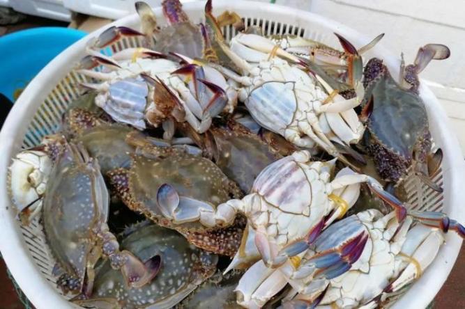 乐亭人吃海鲜有高度,给每种海鲜写了首诗_澎湃号