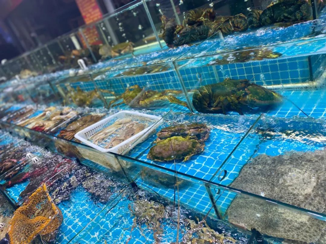 这边的品种比较多很大的市场了天鹏食品城在无锡算得上图源/小红书:周