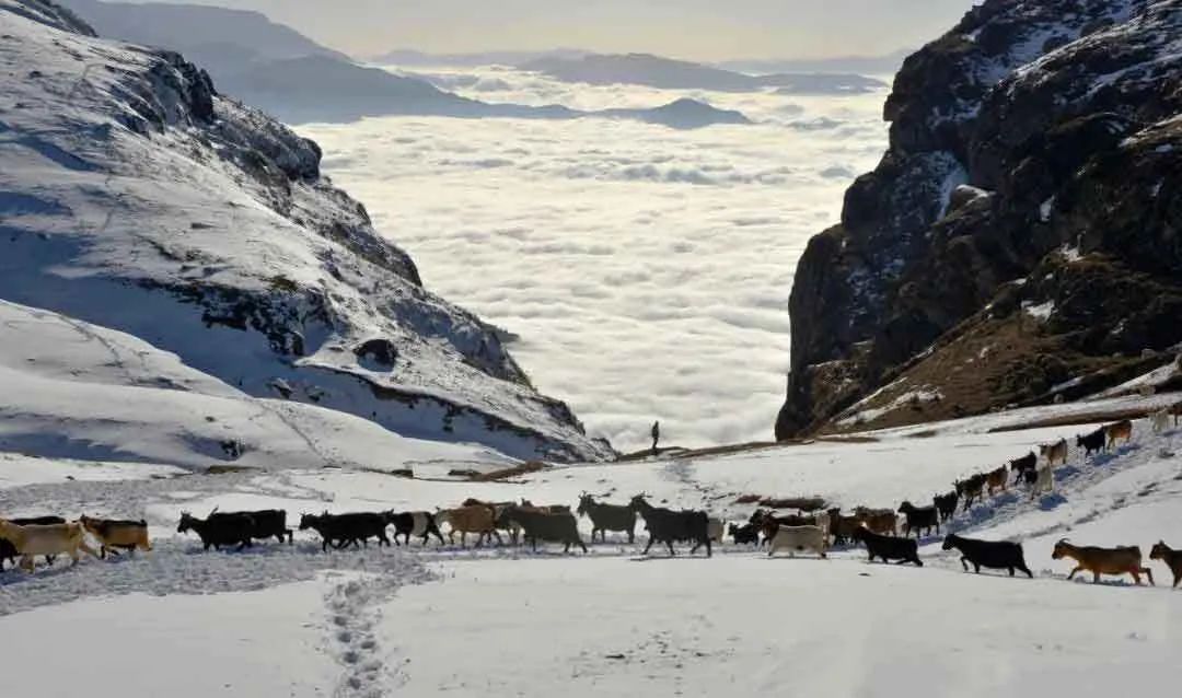 昭通冬天大山包的景色图片