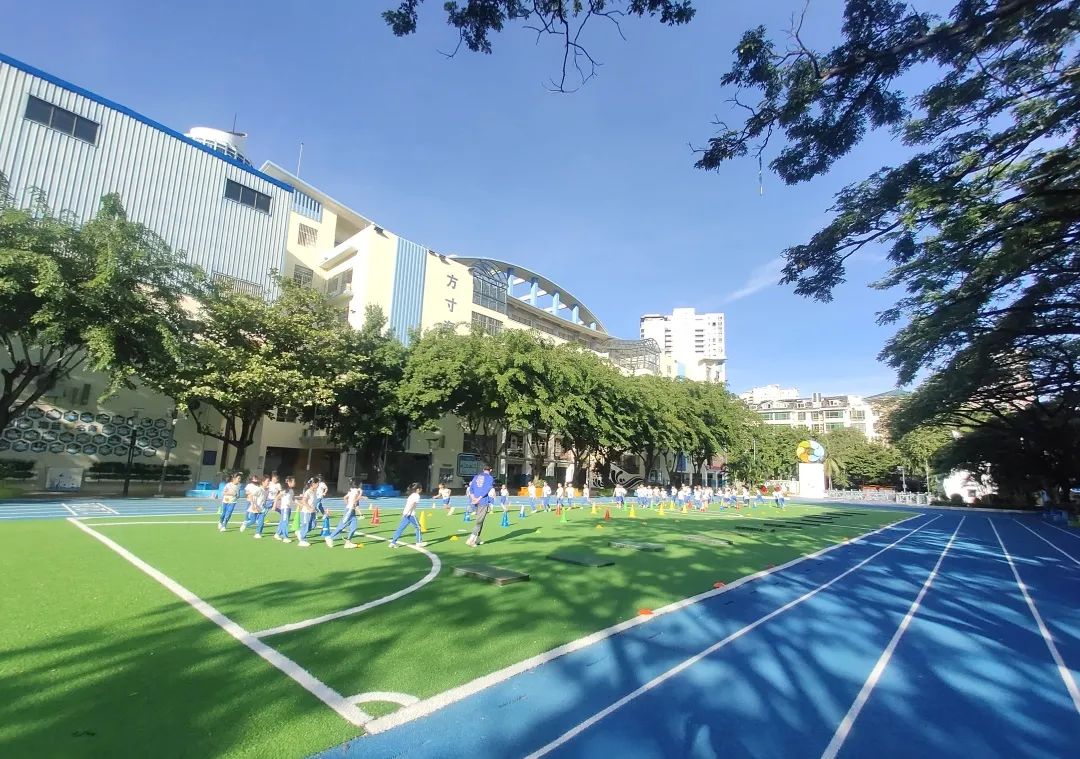 三亚市第九小学党支部:工作坊赋能教师成长_澎湃号·政务_澎湃新闻