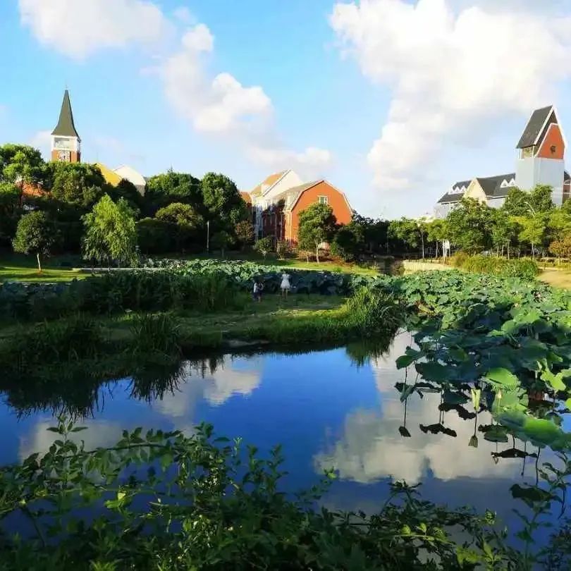 来宝山美兰湖,体验慢悠闲的独特魅力~_澎湃号·政务_澎湃新闻-the