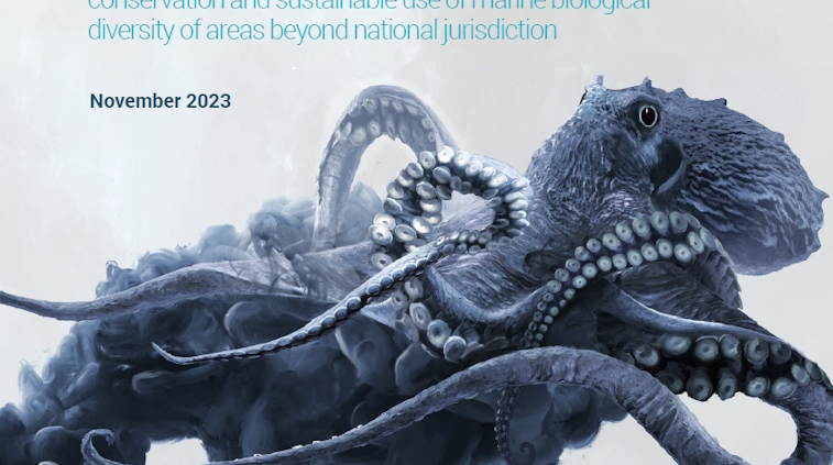 《公海条约》发布：BBNJ详解，迈向全球海洋生物多样性新纪元