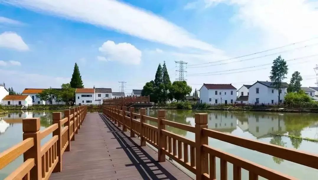 青浦:一幅鄉村碧水畫卷正在練塘悄悄繪就!_澎湃號