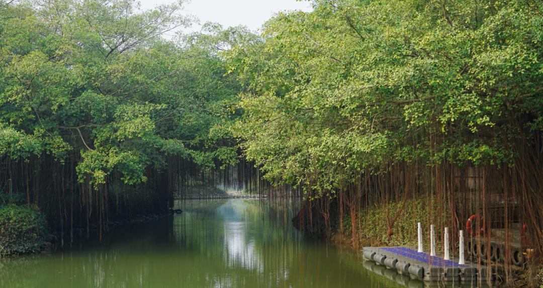 奋战百千万聚焦新乡村会城天马村打造人与自然和谐共生特色文化旅游村