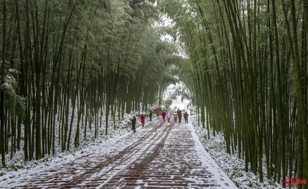 四川多地飄雪，連西昌都下了！未來幾天，這些地方還有雪