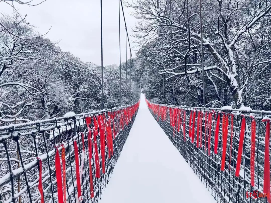 四川多地飄雪，連西昌都下了！未來幾天，這些地方還有雪