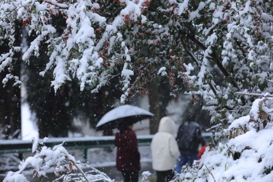 四川多地飄雪，連西昌都下了！未來幾天，這些地方還有雪