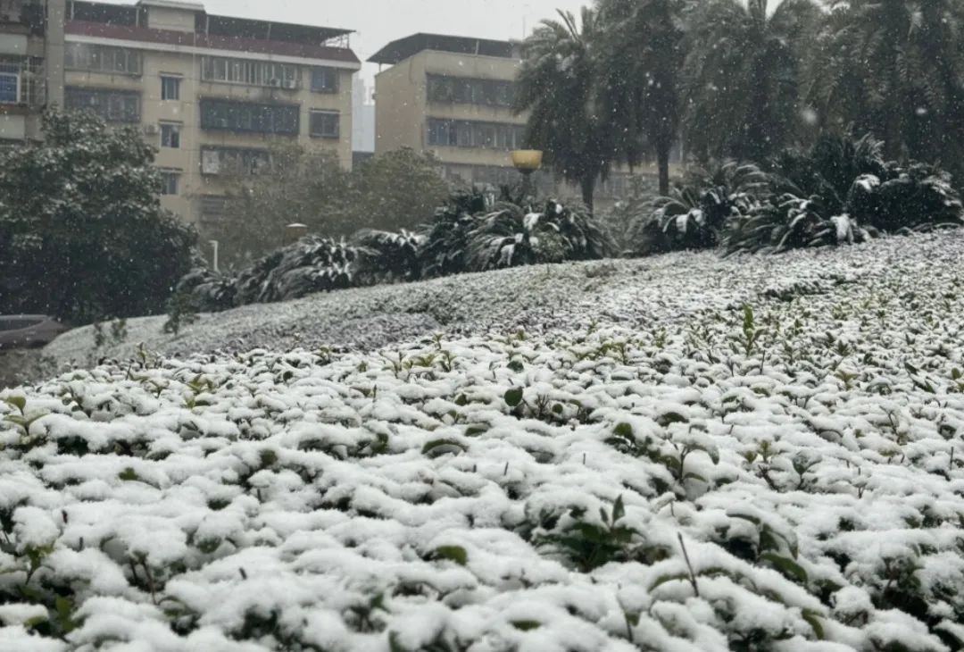 永州下雪图片