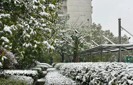 湖南永州下雪图片