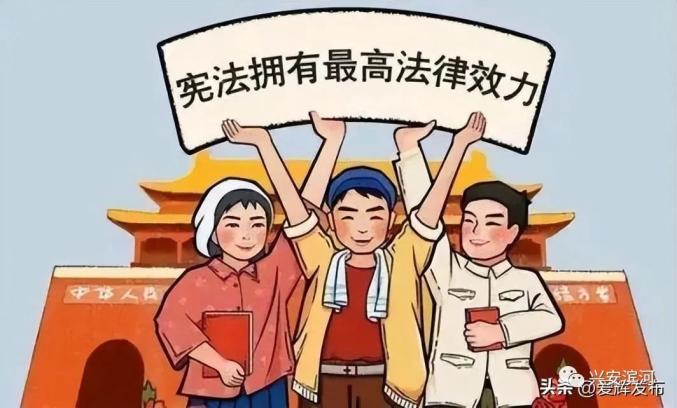 社会法律常识_宪法法律知识_民法典解读