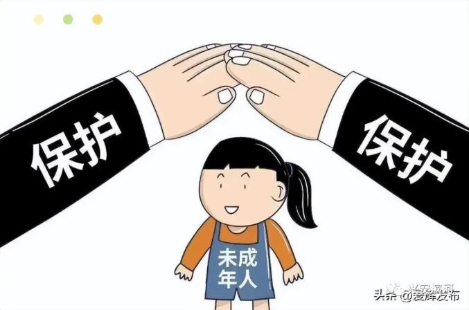 社会法律常识_民法典解读_宪法法律知识