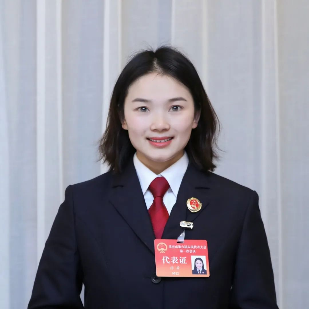 看61法丨市人大代表杨芳凝聚法检协作合力共同促进严格公正司法