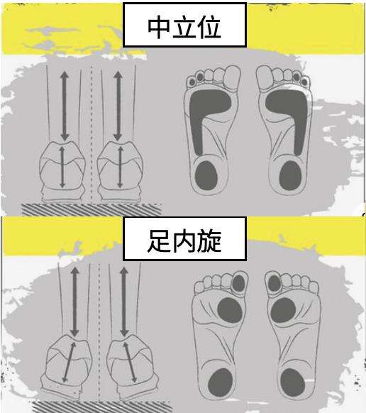 脚掌站立受力图图片