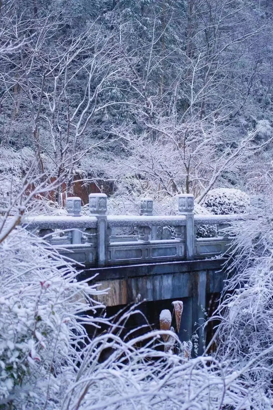 江西雪景最美的地方图片