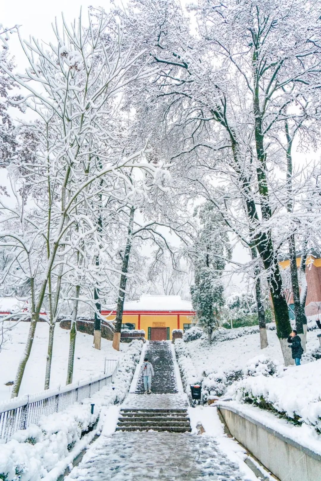 橘子洲头雪景照片图片