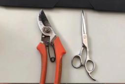 x光机为什么洞法宣传 ｜ 今天我们来谈谈法院为什么要安检？_https://www.jmylbn.com_新闻资讯_第6张