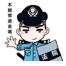 x光机为什么洞法宣传 ｜ 今天我们来谈谈法院为什么要安检？_https://www.jmylbn.com_新闻资讯_第10张