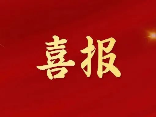 澎湃号·政务_澎湃新闻-the paper