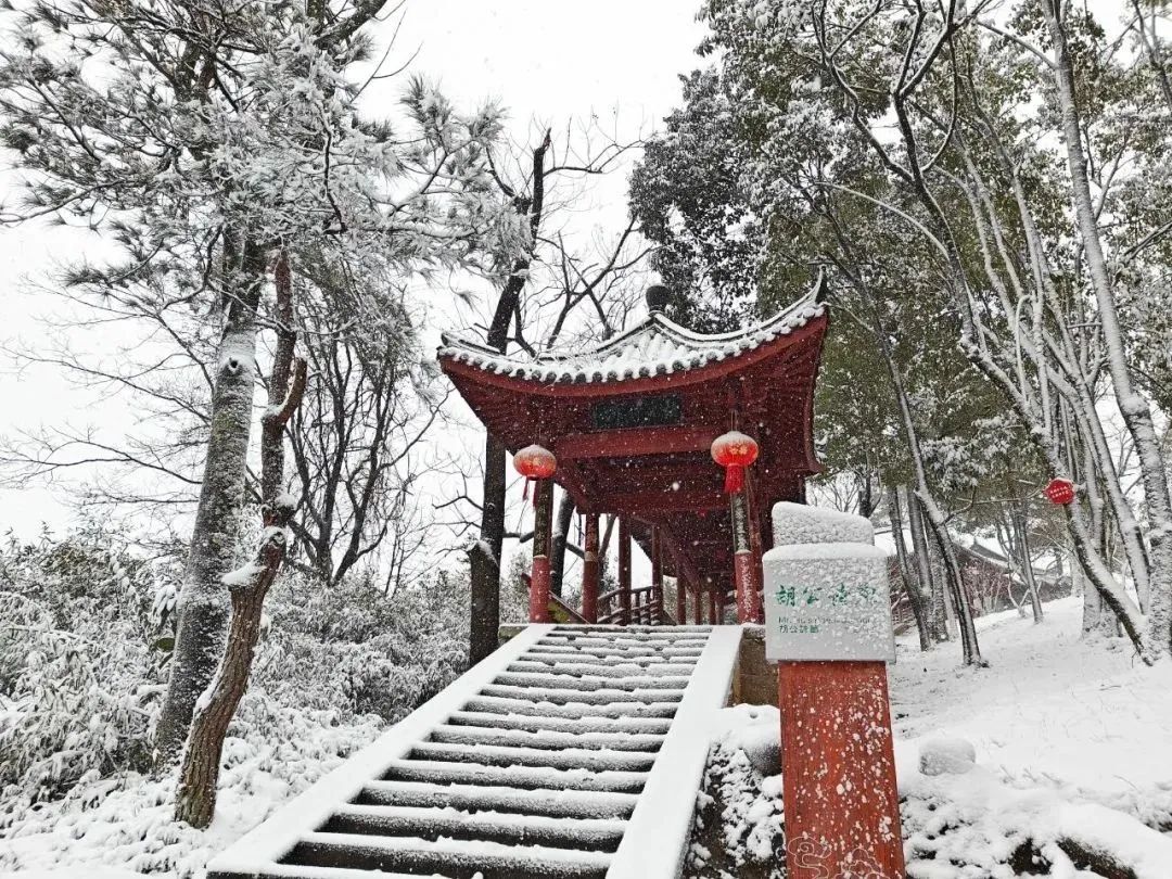 方巖 雙子/攝浦江登高村仙華山佑巖寺武義璟園古城 盛得軒/攝田廬