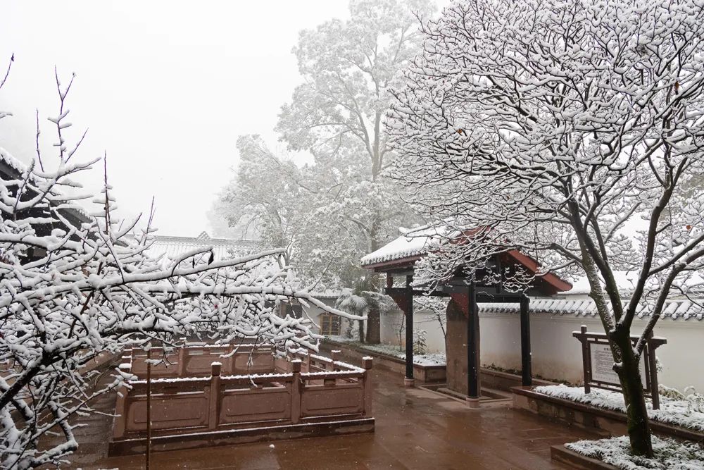 浪漫雪花裡,有份溫暖的呵護~_澎湃號·政務_澎湃新聞