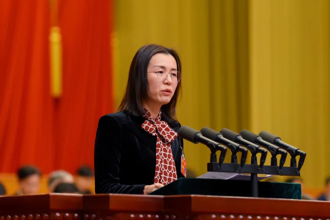 关注省两会丨金霞作政协大会发言_澎湃号·政务_澎湃新闻-the paper