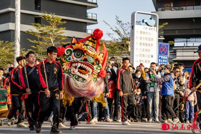 組織麒麟舞,曲班坐唱,竹馬戲,滾地金龍,地景等海陸豐傳統春節表演