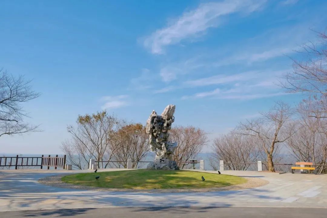 开放时间定了!太湖植物园启动区抢先看