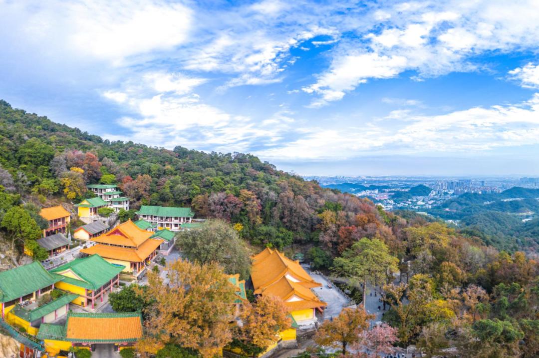 江门3.3精彩之旅,这些台山景点值得尝鲜!